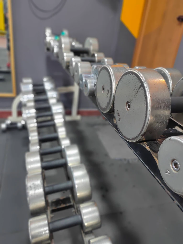 Gym Equipment